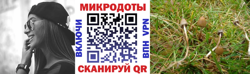 Псилоцибиновые грибы Psilocybe  Очёр 